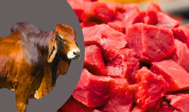 গরুর মাংসের দাম