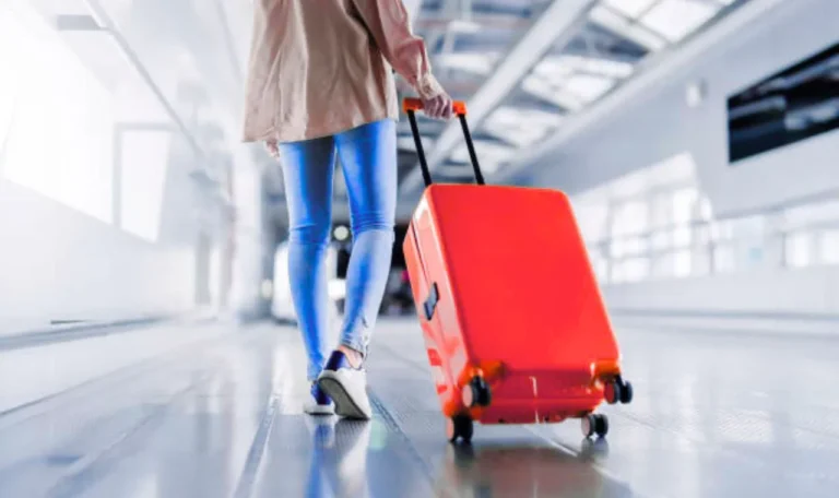 ট্রাভেল ব্যাগ এর দাম